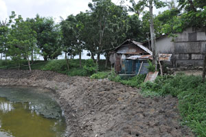  Main House Included