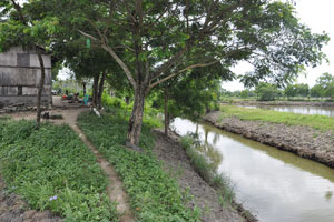  Main Channel by Main House