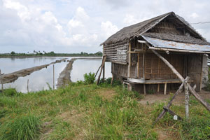  Native Guard House Included