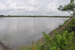  Large Pond Included