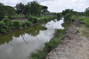  Water Channel   Prawn growing area
