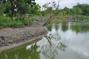  Lowest elevation pond