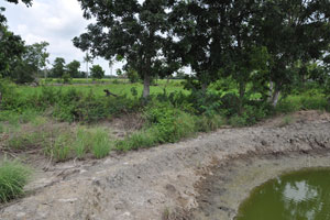  Area for animal housing