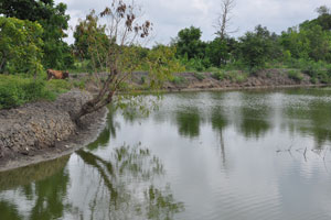  Lowest elevation pond   previously prawns
