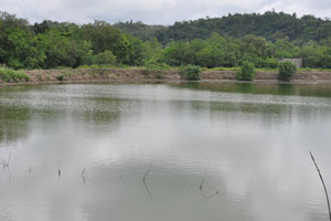  River just beyond trees