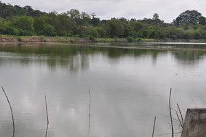  River just beyond trees