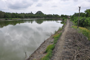  River is beyond trees in background