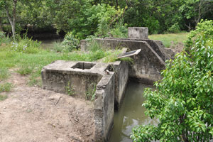  River in background