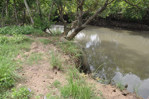  Land across river not included