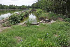  River on right and straight