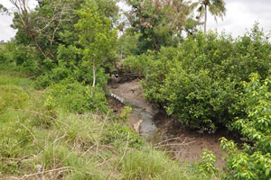  2nd water channel   low tide