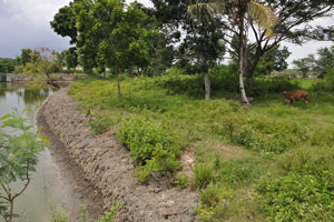  Good area for farm animals