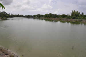  Low elevation pond by river
