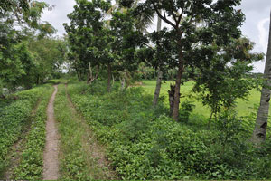  Roadway along ridge