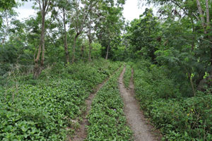  Roadway on ridge