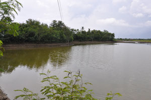  Left side is ridge drive