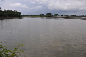  Left is ridge drive