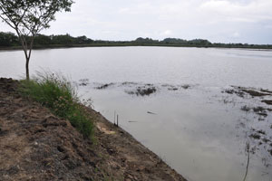  Left background is ridge road