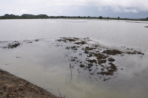  Largest Pond