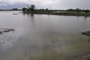  Largest Pond   far right not included