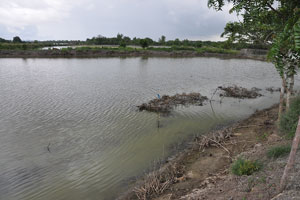  Past pond not included