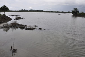  Largest Pond