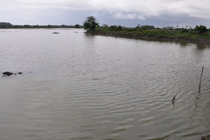 Largest Pond   right not included