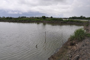  Largest pond   past dike not included