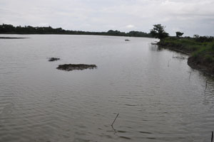  Largest pond   ridge on far left