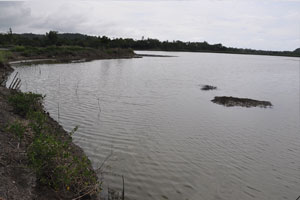  Largest pond   ridge far straight