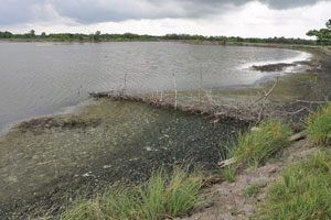  Largest pond   Past trees not included