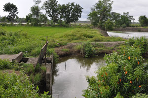  Area good for animals