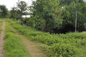  Property Exit   2nd water channel on right