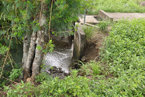  Low Tide   Water flows out of 2nd Channel